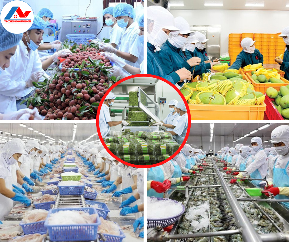 Phòng sạch chế biến đa dạng các loại nông sản và hải sản